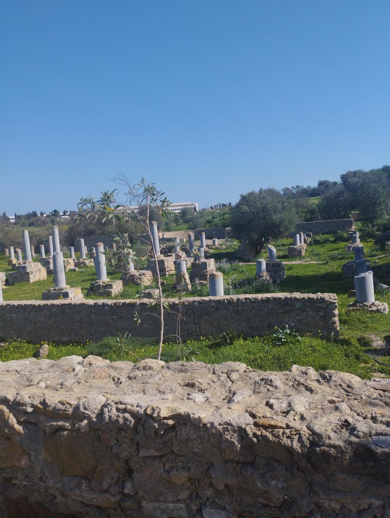 Appartement 2 A Carthage Byrsa Douar ech Chott 외부 사진